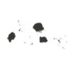 Ink Splat 19