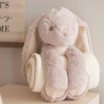 Rabbit and blanket